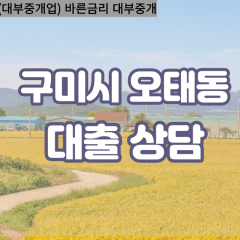 오태동대부대출 오태동비대면대출 구미대부업체 오태동급전대출개인돈 오태동소액월변대출