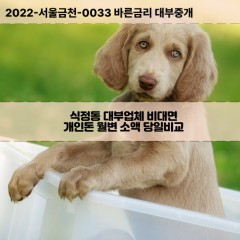 식정동대부대출 식정동비대면대출 전북남원시대부업체 식정동급전대출개인돈 식정동소액월변대출