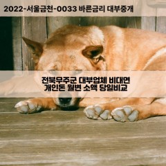 무주읍대부대출 무풍면비대면대출 전북무주군대부업체 부남면급전대출개인돈 설천면소액월변대출