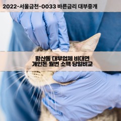 황산동대부대출 황산동비대면대출 전북김제시대부업체 황산동급전대출개인돈 황산동소액월변대출