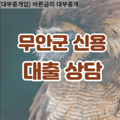 청계면대부대출 해제면비대면대출 무안군대부업체 현경면급전대출개인돈 무안소액월변대출