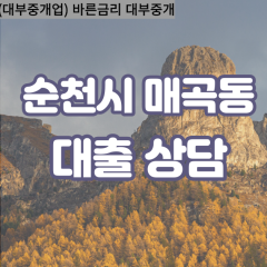 매곡동대부대출 매곡동비대면대출 순천시대부업체 매곡동급전대출개인돈 매곡동소액월변대출