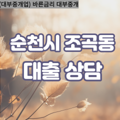 조곡동대부대출 조곡동비대면대출 순천시대부업체 조곡동급전대출개인돈 조곡동소액월변대출