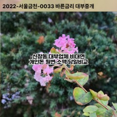 신장동대부대출 신장동비대면대출 평택시대부업체 신장동급전대출개인돈 신장동소액월변대출