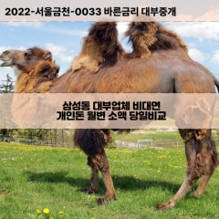 삼성동대부대출 삼성동비대면대출 대전동구대부업체개인돈 삼성동월변대부업체 삼성동소액월변대출