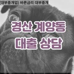 계양동대부대출 계양동비대면대출 경산시대부업체 계양동급전대출개인돈 계양동소액월변대출