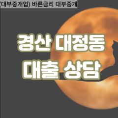 대정동대부대출 대정동비대면대출 경산시대부업체 대정동급전대출개인돈 대정동소액월변대출