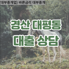 대평동대부대출 대평동비대면대출 경산시대부업체 대평동급전대출개인돈 대평동소액월변대출