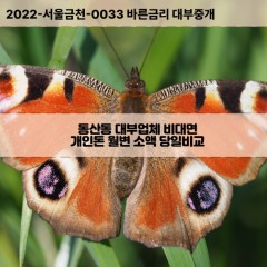 동산동대부대출 동산동비대면대출 전북익산시대부업체 동산동급전대출개인돈 동산동소액월변대출