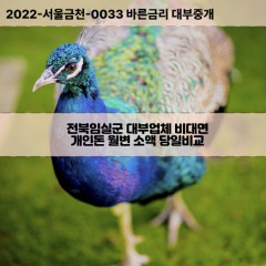 운암면대부대출 임실읍비대면대출 전북임실군대부업체 지사면급전대출개인돈 청웅면소액월변대출