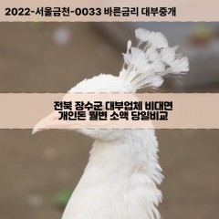 계남면대부대출 계북면비대면대출 전북장수군대부업체 번암면급전대출개인돈 산서면소액월변대출