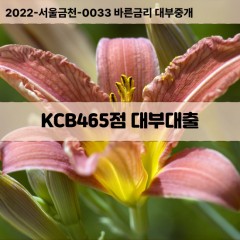 KCB465점대부대출 KCB465점비대면대출 KCB465점소액대부업체 KCB465점급전대출개인돈 KCB465점월변대출