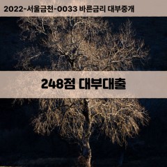 KCB248점대부대출 NICE248점비대면대출 KCB248점소액대부업체 NICE248점급전대출개인돈 KCB248점월변대출