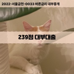 KCB239점대부대출 NICE239점비대면대출 KCB239점소액대부업체 NICE239점급전대출개인돈 KCB239점월변대출