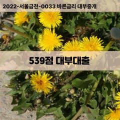 KCB539점대부대출 NICE539점비대면대출 KCB539점소액대부업체 NICE539점급전대출개인돈 KCB539점월변대출