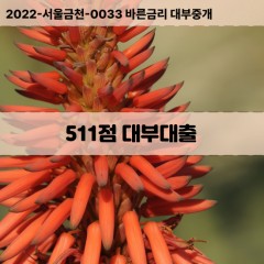 KCB511점대부대출 NICE511점비대면대출 KCB511점소액대부업체 NICE511점급전대출개인돈 KCB511점월변대출