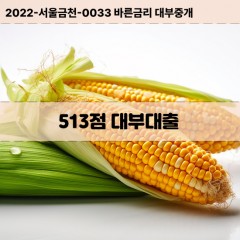 KCB513점대부대출 NICE513점비대면대출 KCB513점소액대부업체 NICE513점급전대출개인돈 KCB513점월변대출