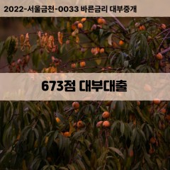 KCB673점대부대출 NICE673점비대면대출 KCB673점소액대부업체 NICE673점급전대출개인돈 KCB673점월변대출