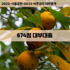 KCB674점대부대출 NICE674점비대면대출 KCB674점소액대부업체 NICE674점급전대출개인돈 KCB674점월변대출