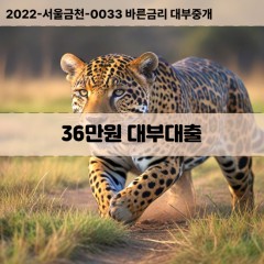 36만원대부대출 36만원비대면대출 36만원소액대부업체 36만원급전대출개인돈 36만원월변대출