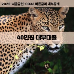 40만원대부대출 40만원비대면대출 40만원소액대부업체 40만원급전대출개인돈 40만원월변대출