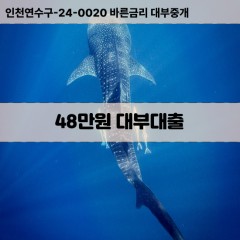 48만원대부대출 48만원비대면대출 48만원소액대부업체 48만원급전대출개인돈 48만원월변대출