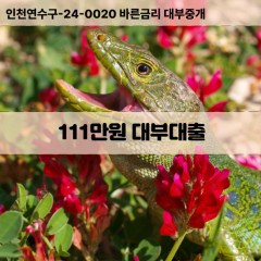 111만원대부대출 111만원비대면대출 111만원소액대부업체 111만원급전대출개인돈 111만원월변대출