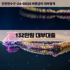 132만원대부대출 132만원비대면대출 132만원소액대부업체 132만원급전대출개인돈 132만원월변대출