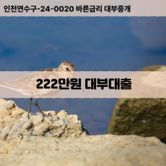 222만원대부대출 222만원비대면대출 222만원소액대부업체 222만원급전대출개인돈 222만원월변대출