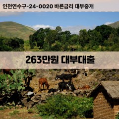 263만원대부대출 263만원비대면대출 263만원소액대부업체 263만원급전대출개인돈 263만원월변대출