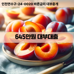 645만원대부대출 645만원비대면대출 645만원소액대부업체 645만원급전대출개인돈 645만원월변대출