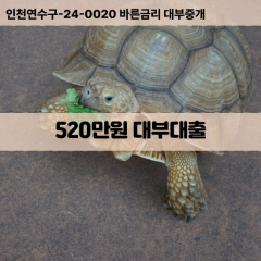 520만원대부대출 520만원비대면대출 520만원소액대부업체 520만원급전대출개인돈 520만원월변대출