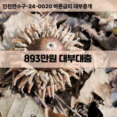 893만원대부대출 893만원비대면대출 893만원소액대부업체 893만원급전대출개인돈 893만원월변대출