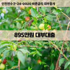 895만원대부대출 895만원비대면대출 895만원소액대부업체 895만원급전대출개인돈 895만원월변대출