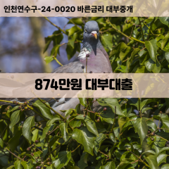 874만원대부대출 874만원비대면대출 874만원소액대부업체 874만원급전대출개인돈 874만원월변대출