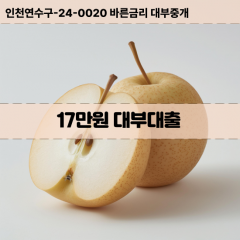 17만원빠른돈 17만원급한대출 17만원당일대출 17만원비대면무방문 17만원비교대출상담