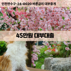 45만원빠른돈 45만원급한대출 45만원당일대출 45만원비대면무방문 45만원비교대출상담