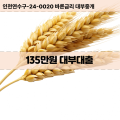 135만원빠른돈 135만원급한대출 135만원당일대출 135만원비대면무방문 135만원비교대출상담