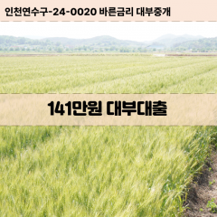 141만원빠른돈 141만원급한대출 141만원당일대출 141만원비대면무방문 141만원비교대출상담