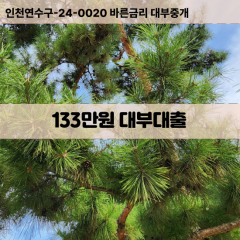 133만원빠른돈 133만원급한대출 133만원당일대출 133만원비대면무방문 133만원비교대출상담